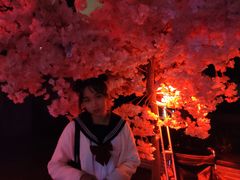 -华莱士炸鸡汉堡(欢乐谷店)