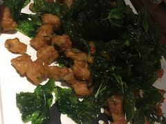 -猫头婴小酒馆FUN OWL(1912店)