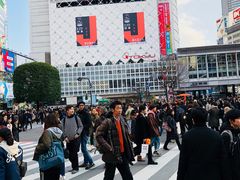 -涩谷全向十字路口
