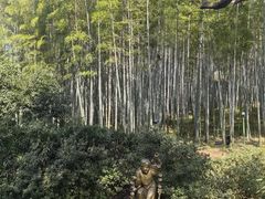 -杭州黄龙洞