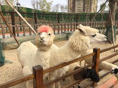 -广州融创文旅城