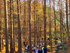 -国家植物园南园