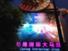 -广州长隆国际大马戏