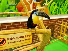 -齐齐哈尔龙沙动植物园