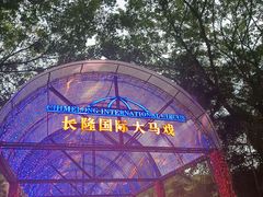 -广州长隆国际大马戏