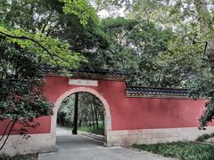-灵谷景区