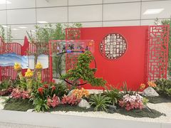-郑州新郑国际机场-T2航站楼