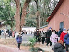 -马王堆汉墓遗址