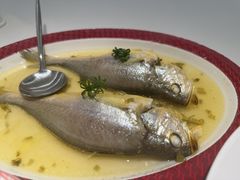 -圆苑(静安寺店)