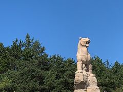 -帽儿山国家森林公园