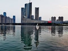 -天鹅湖体育公园