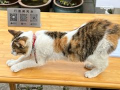 -阿二烤鸡(山塘街店)