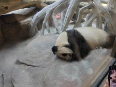 -宁波野生动物园
