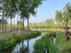 -东郊湿地公园