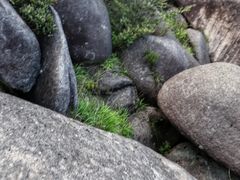 -玉苍山国家森林公园