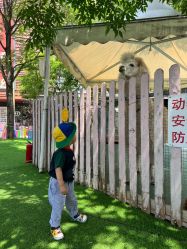 -萌宠亲子动物乐园(槐房万达店)