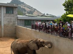 -西霞口神雕山野生动物世界
