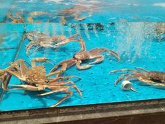 -艳阳天·非遗楚菜(武汉客厅店)