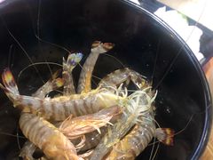 -捞围鲜·港式打边炉(海阳路店)