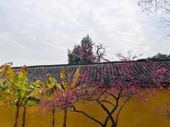 -太平天国侍王府