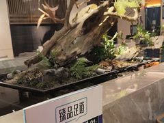 -臻品足道(佛祖岭店)