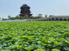 -重元寺香积厨素斋馆