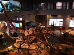 -自贡恐龙博物馆