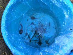 -碓臼峪自然风景区