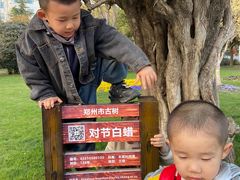 -经纬广场
