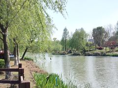 -九科绿洲