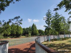 -尚贤河湿地