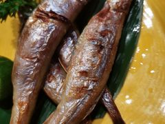 多春鱼-柚子(假日店)