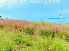 -小麦岛公园