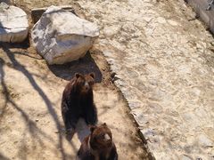 -石家庄市动物园