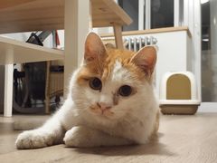 -1点点(银座和谐广场店)