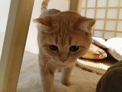 -小时光咖啡馆(开森度假森林店)