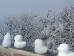 -紫金山索道-售票处