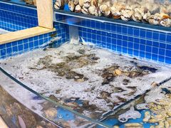 水产区-乔哥铭洋海鲜自助(皇城恒隆广场店)