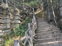 -梭布垭石林景区