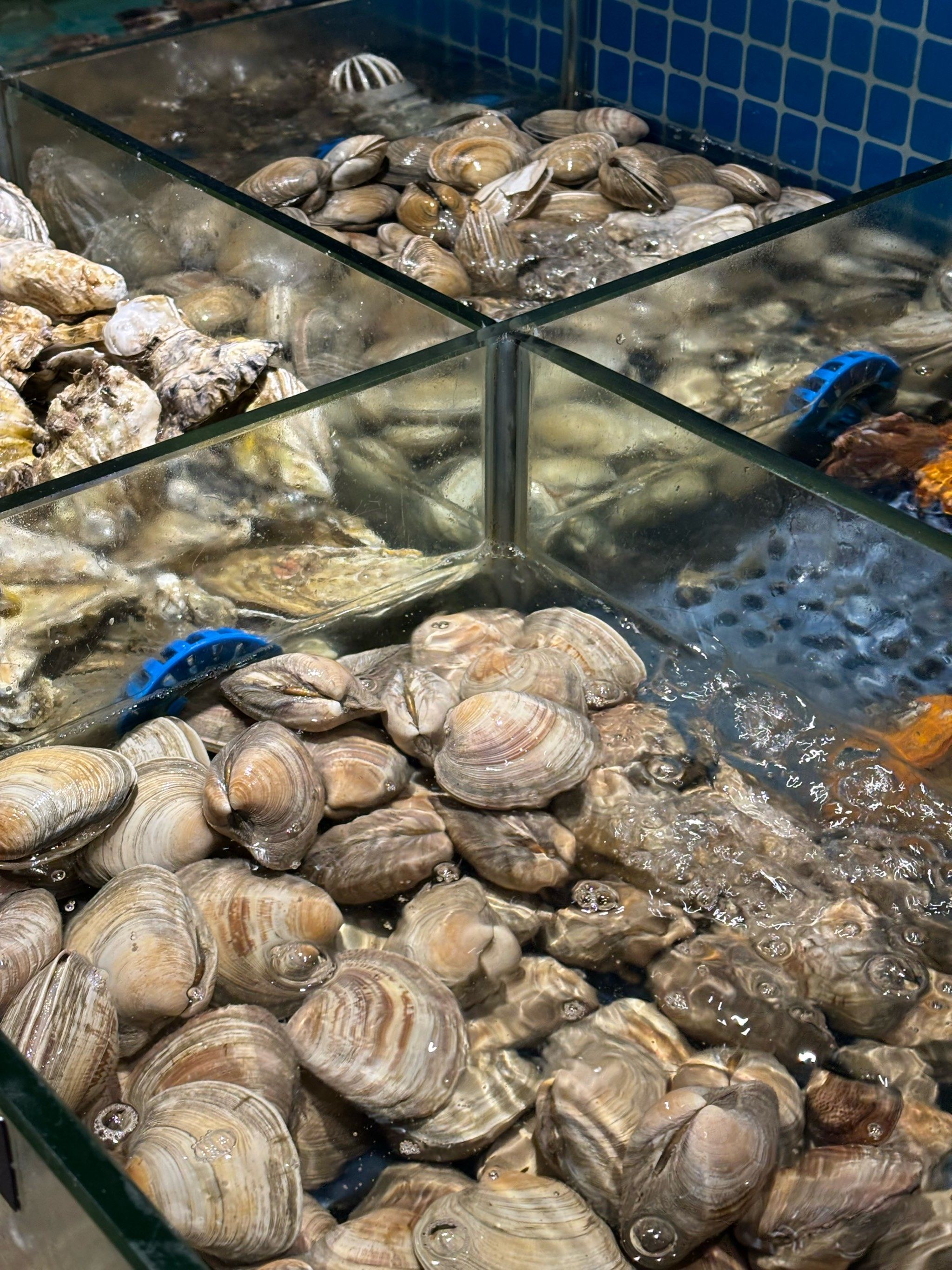 在集美ioi最爱的现捞海鲜蒸锅自助￼