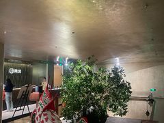 -隐溪茶馆(静安寺店)
