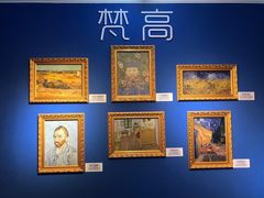 -上海梵高星空艺术馆(南京路旗舰店)
