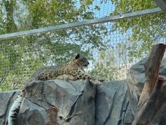 -青藏高原野生动物园