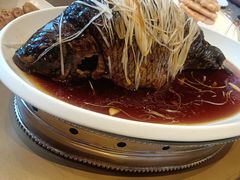 -津菜典藏河西店(水上店)