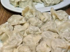 谷饲羊肉大葱水饺-鸿毛饺子(紫竹桥店)