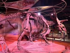 -正佳自然科学博物馆