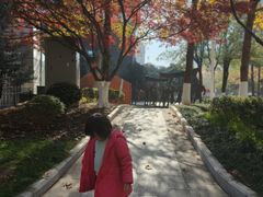 -长江路历史文化街区