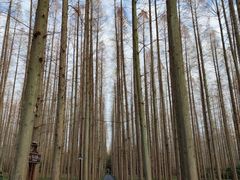 -上海怡沁园度假酒店