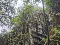-山王坪喀斯特国家生态公园