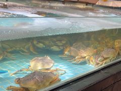 -79号渔船海鲜饭店(宝安店)